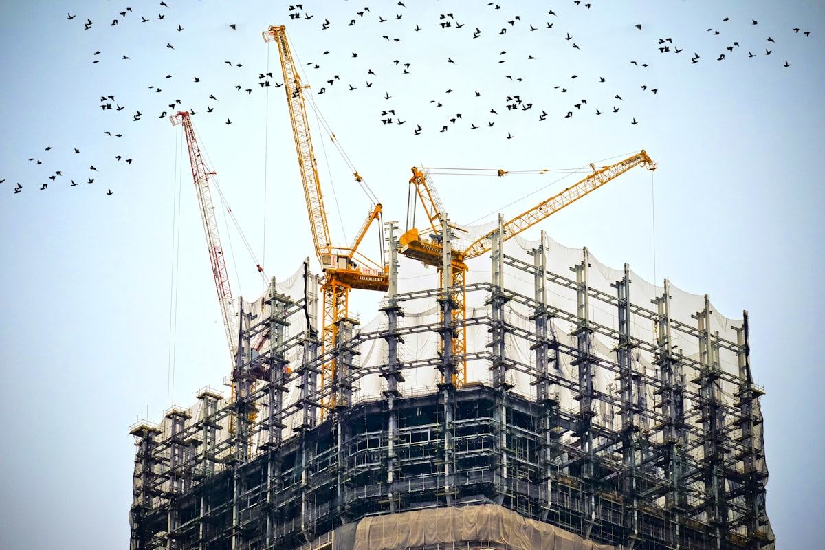 Architect reviewing site blueprint